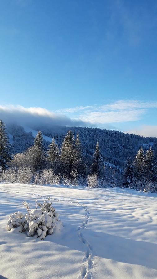 Les Jonquilles: Gite 8/10 Pers. Avec Vue Imprenable! Gérardmer Exterior foto